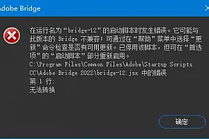 Bridge2022启动脚本错误